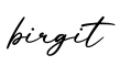 单词birgit书写