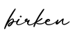 单词birken书写