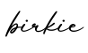 单词birkie书写