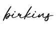 单词birkins书写