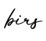 单词birs书写