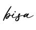 单词bisa书写