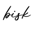 单词bisk书写