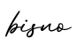 单词bisno书写