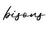 单词bisons书写