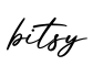 单词bitsy书写