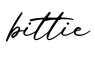 单词bittie书写