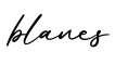 单词blanes书写