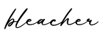 单词bleacher书写