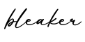 单词bleaker书写