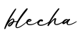 单词blecha书写