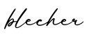单词blecher书写