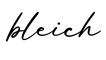 单词bleich书写