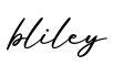单词bliley书写