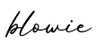 单词blowie书写