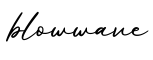 单词blowwave书写