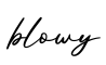 单词blowy书写