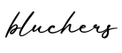 单词bluchers书写