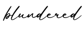 单词blundered书写