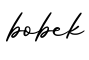 单词bobek书写