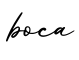 单词boca书写