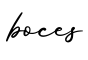 单词boces书写