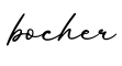单词bocher书写