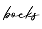 单词bocks书写