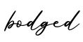 单词bodged书写