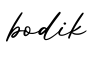 单词bodik书写