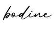 单词bodine书写