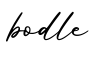 单词bodle书写