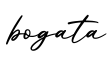 单词bogata书写