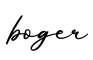 单词boger书写