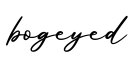 单词bogeyed书写