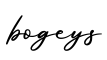 单词bogeys书写