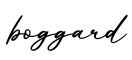 单词boggard书写