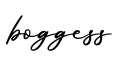单词boggess书写