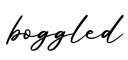 单词boggled书写