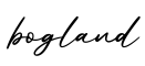 单词bogland书写