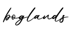单词boglands书写