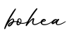 单词bohea书写