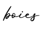 单词boies书写