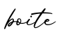 单词boite书写