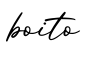单词boito书写