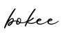 单词bokee书写