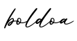 单词boldoa书写