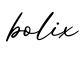 单词bolix书写