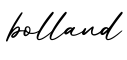 单词bolland书写