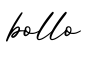 单词bollo书写